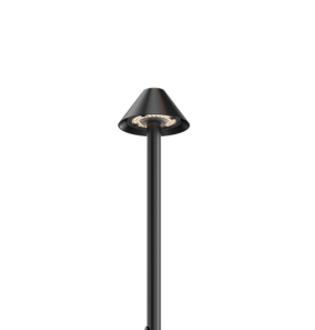 Cone