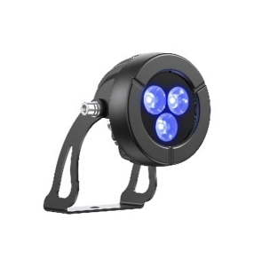 Focus Lights